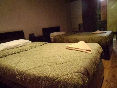 Freedom Hostel image 22